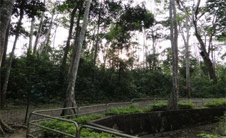 Chidiyatapu Biological Park